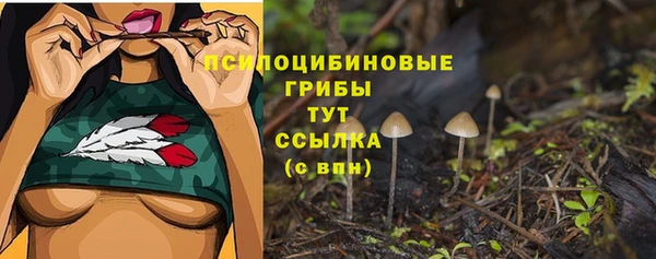 каннабис Алзамай