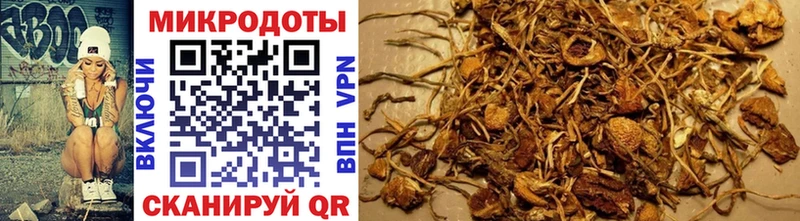 Галлюциногенные грибы Cubensis Себеж