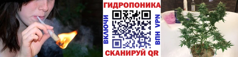 МАРИХУАНА план  сколько стоит  это как зайти  Себеж 